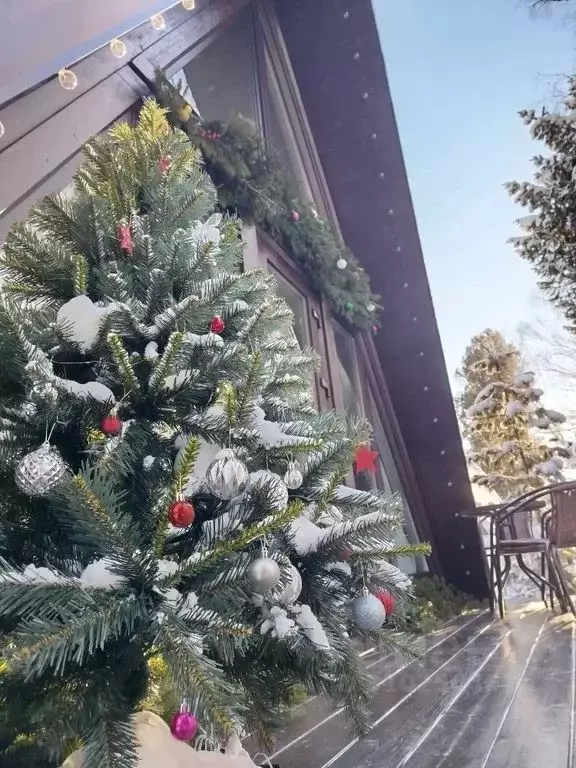 Дом в Алтай, Турочакский район, с. Артыбаш Солнечный пер., 3 (36 м) - Фото 1