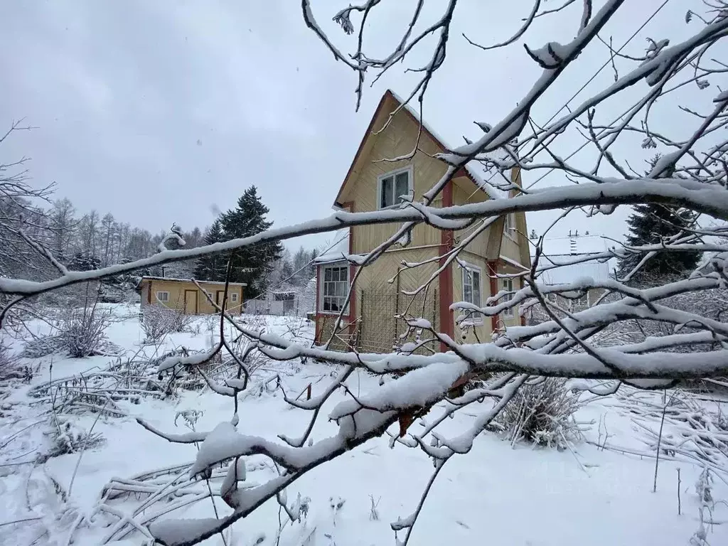 Участок в Ленинградская область, Лужский район, Мшинское с/пос, ... - Фото 0