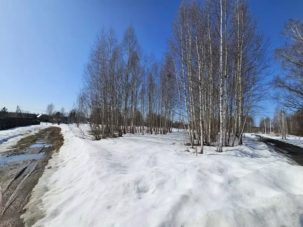 Участок в Московская область, Волоколамский муниципальный округ, д. ... - Фото 2