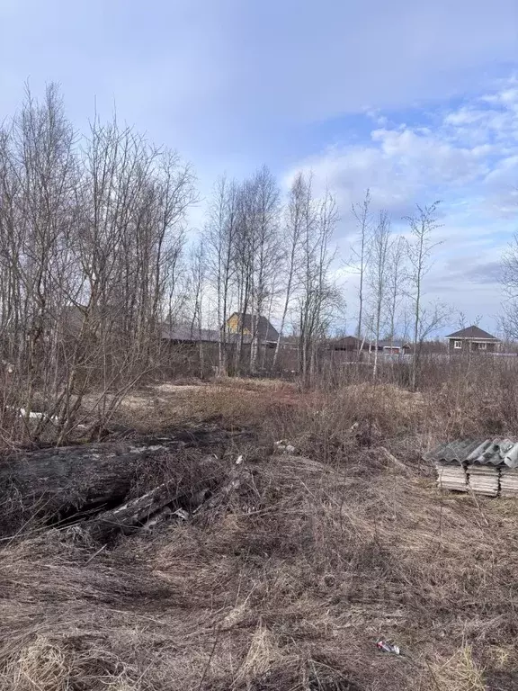 Участок в Вологодская область, Сокол Пригородная ул. (12.0 сот.) - Фото 2