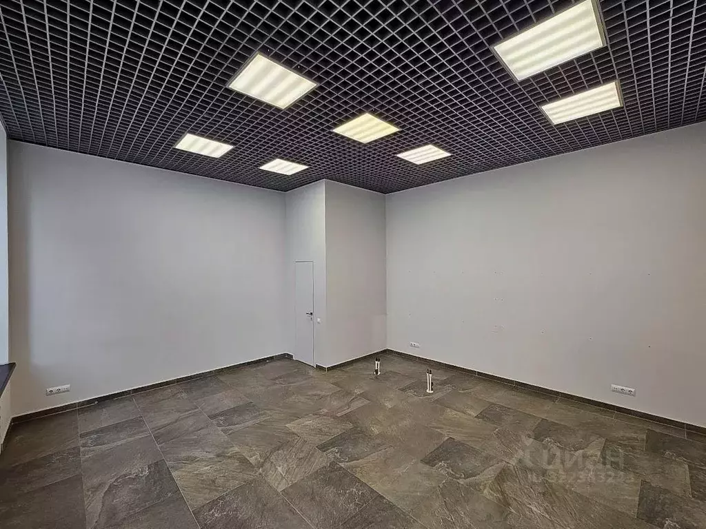 Офис в Саратовская область, Саратов ул. Имени Н.Г. Чернышевского, ... - Фото 2