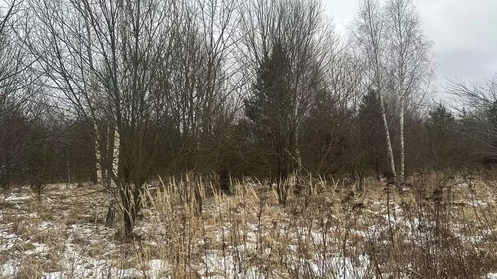 Участок в Московская область, Ступино городской округ, с. Мещерино  ... - Фото 0