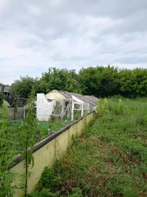 Дом в Саратовская область, Петровский район, Пригородное муниципальное ... - Фото 1