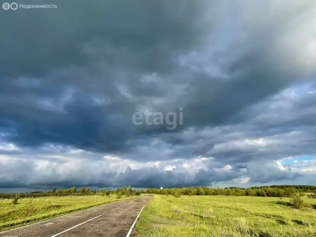 Участок в Тереньгульский район, Подкуровское сельское поселение, село ... - Фото 0