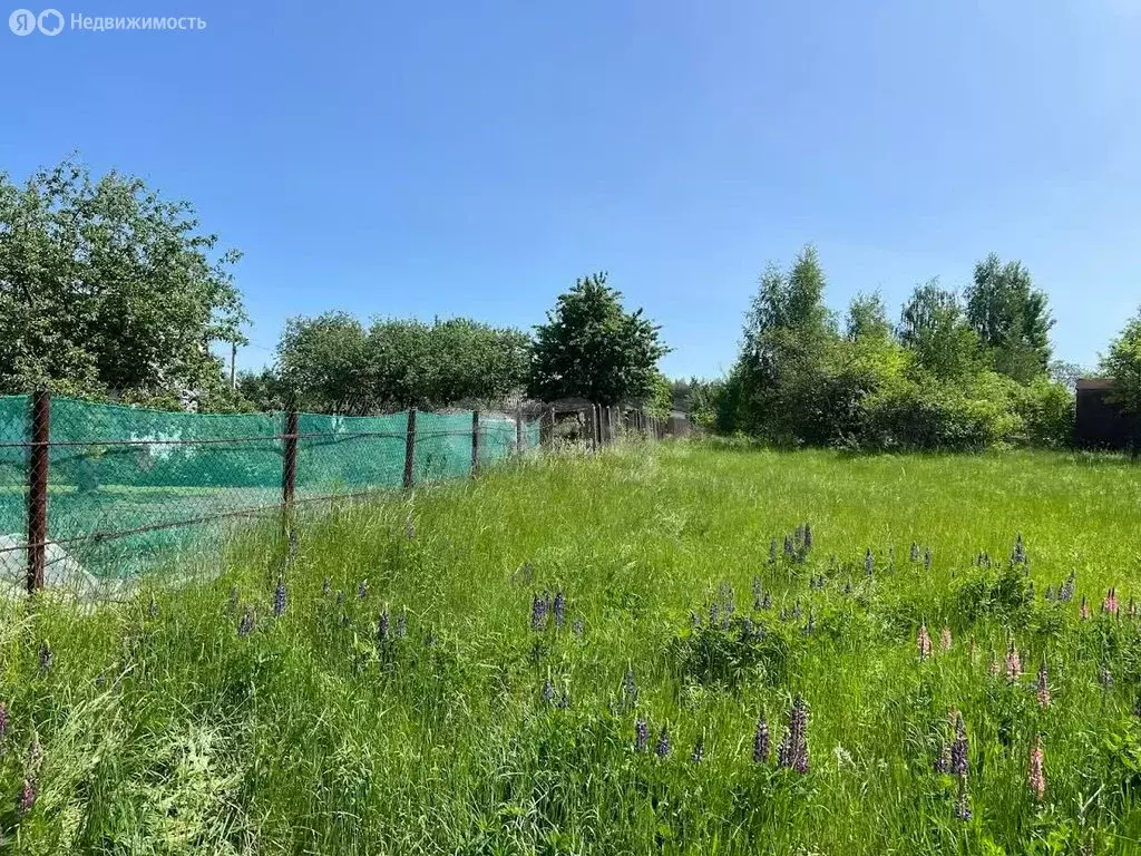 Участок в посёлок Рождественский, улица 40 лет Октября (11.81 м) - Фото 2