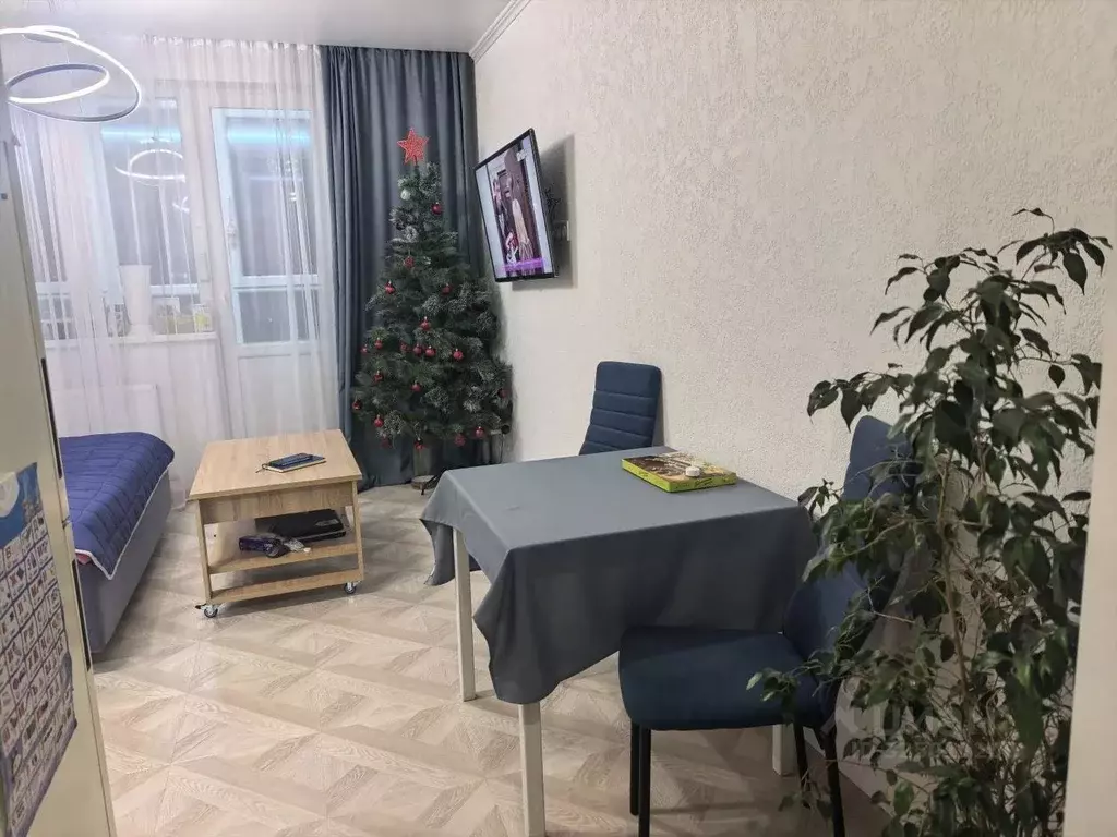 Студия Краснодарский край, Новороссийск ул. Куникова, 47Ак2 (29.0 м) - Фото 2