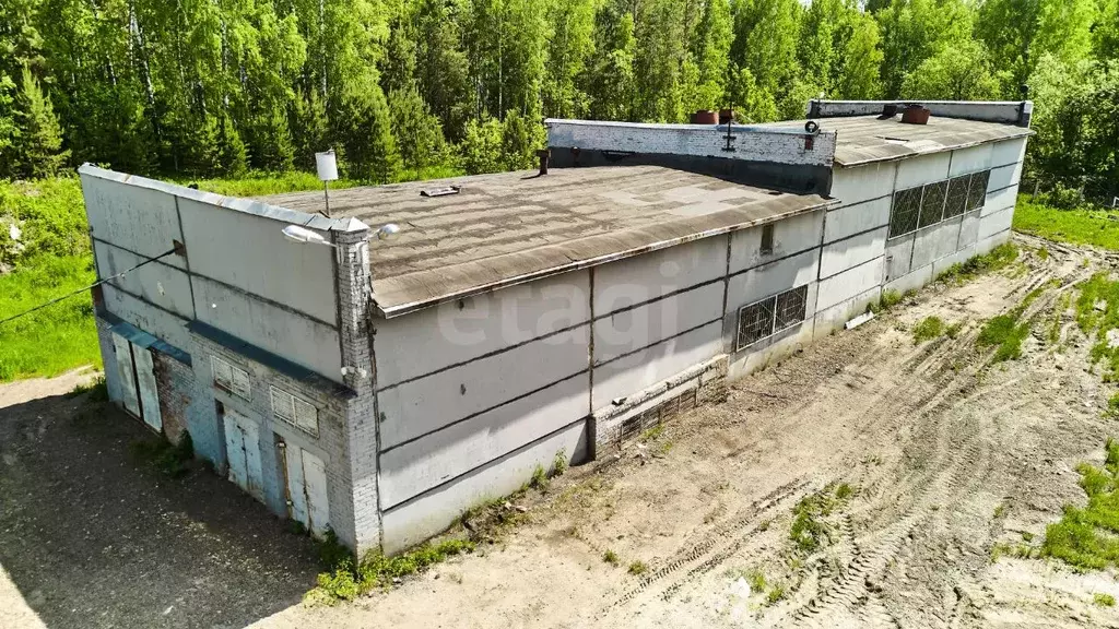 Склад в Томская область, Томск Кузовлевский тракт, 8/3 (8623 м) - Фото 1