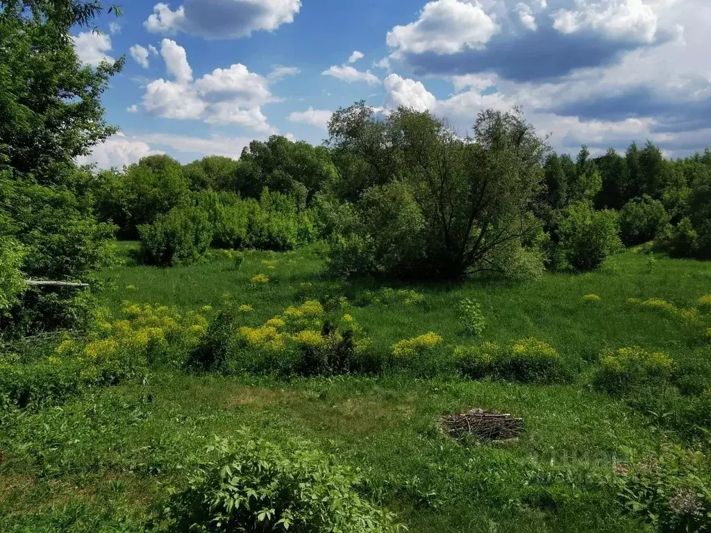 Участок в Московская область, Коломна  (9.99 сот.) - Фото 1