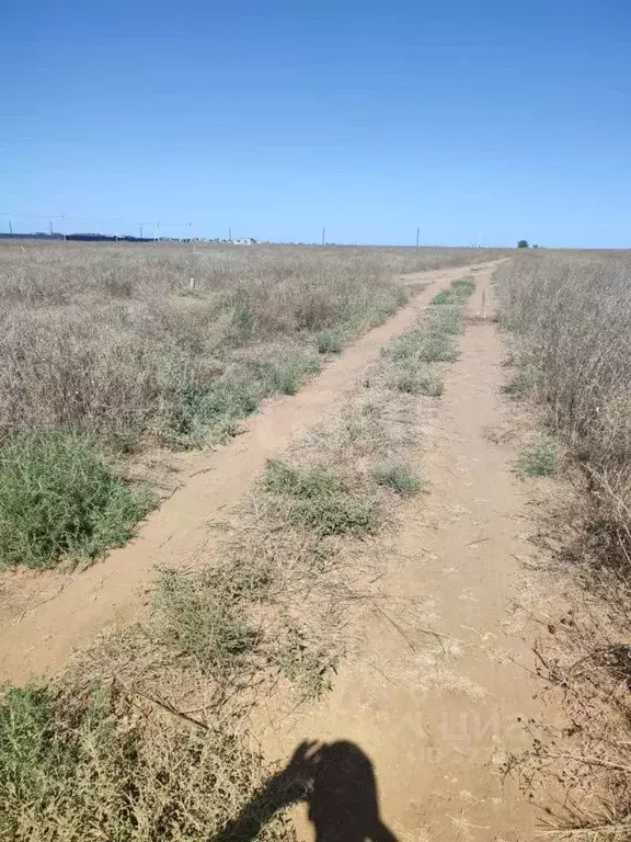 Участок в Крым, Сакский район, с. Штормовое  (6.14 сот.) - Фото 1