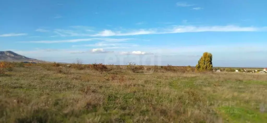 Участок в Крым, Ленинский район, с. Калиновка ул. Шевченко (100.0 ... - Фото 1