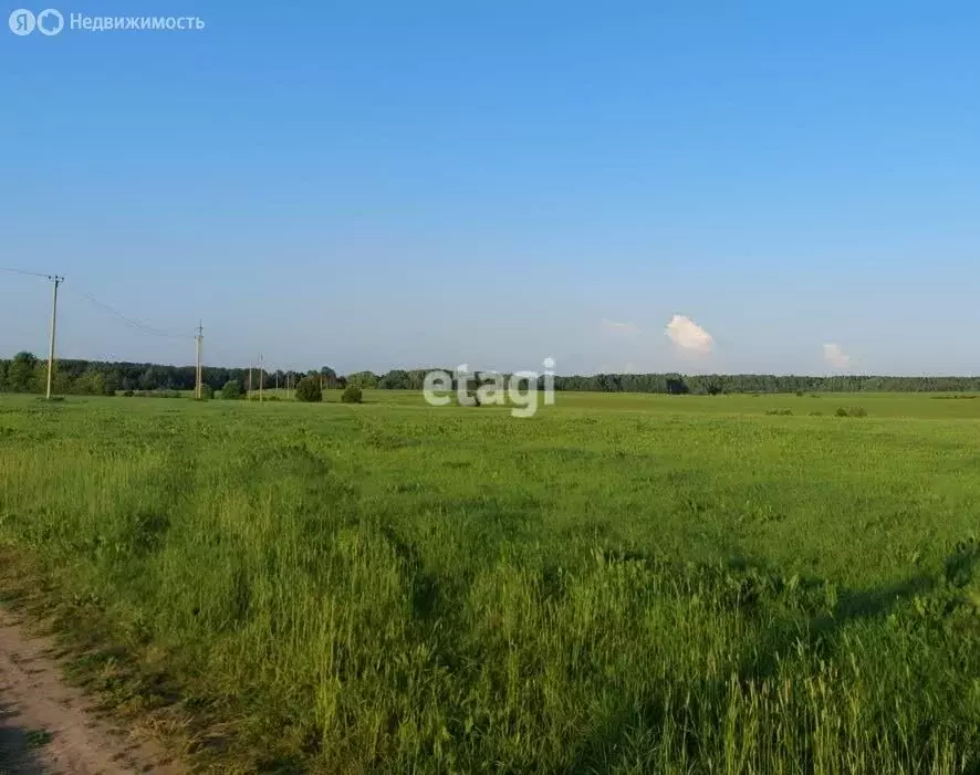 участок в приозерский район, красноозёрное сельское поселение, деревня . - Фото 0