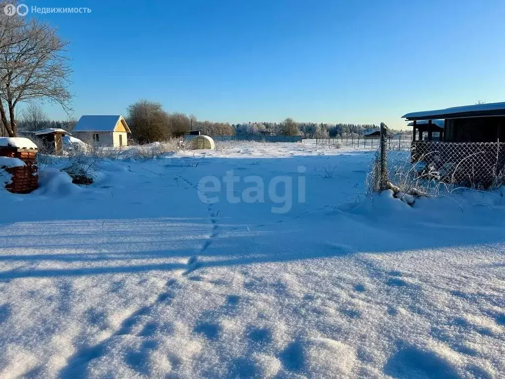 Участок в Волосовский район, Калитинское сельское поселение, деревня ... - Фото 1