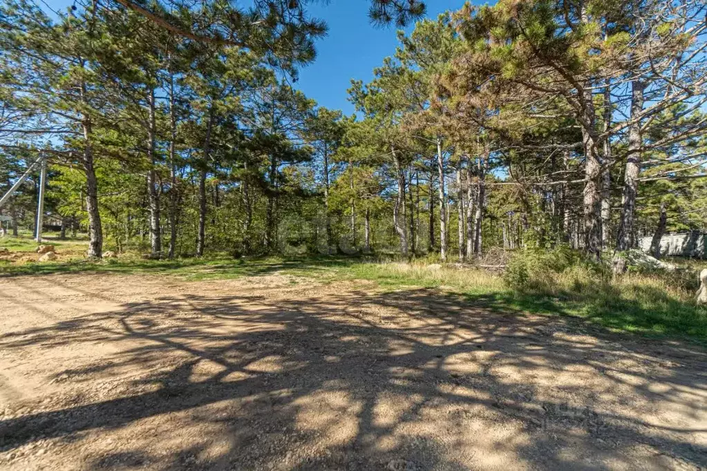 Участок в Севастополь ул. Ромашковая (10.0 сот.) - Фото 1