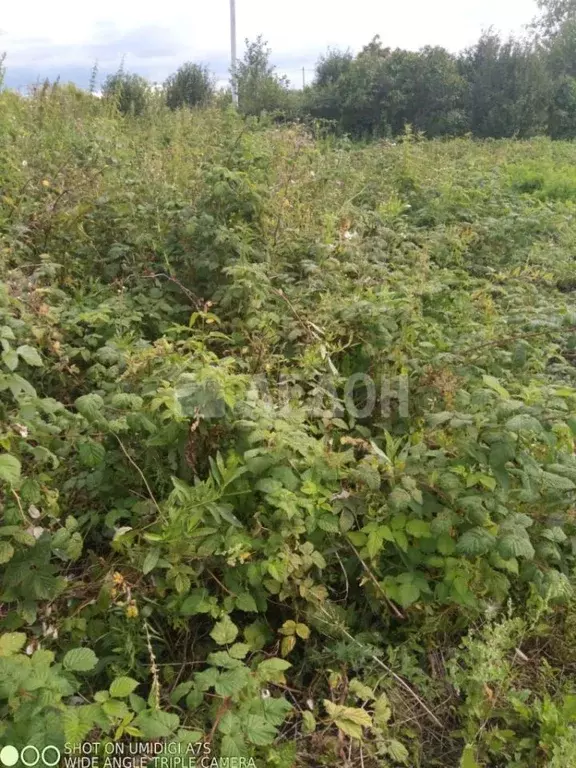 Участок в Омская область, Омский район, Пушкинское с/пос, д. Давыдовка ... - Фото 1