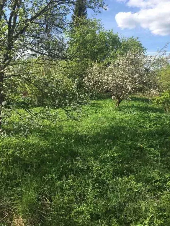 Участок в Московская область, Подольск городской округ, д. Кутьино ул. ... - Фото 0