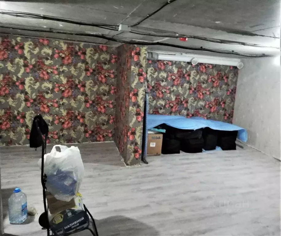 Помещение свободного назначения в Краснодарский край, Анапа Парковая ... - Фото 2