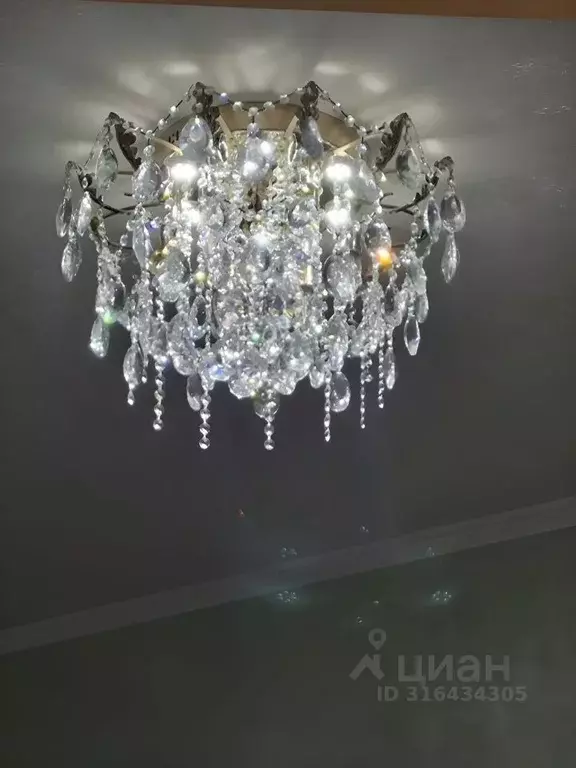 1-к кв. Ленинградская область, Сертолово Всеволожский район, ... - Фото 0