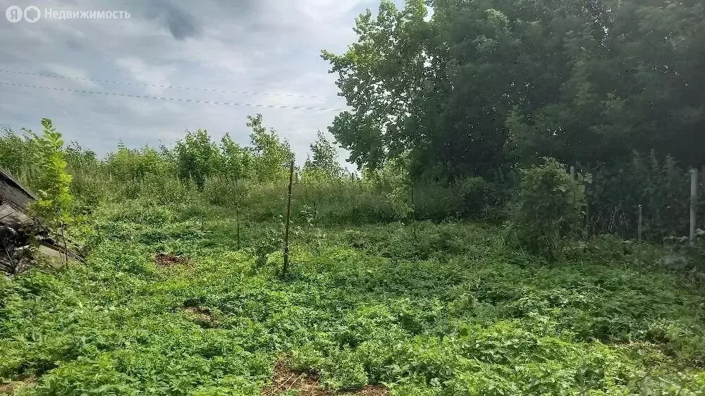 Участок в Нижегородская область, Богородский муниципальный округ, ... - Фото 1