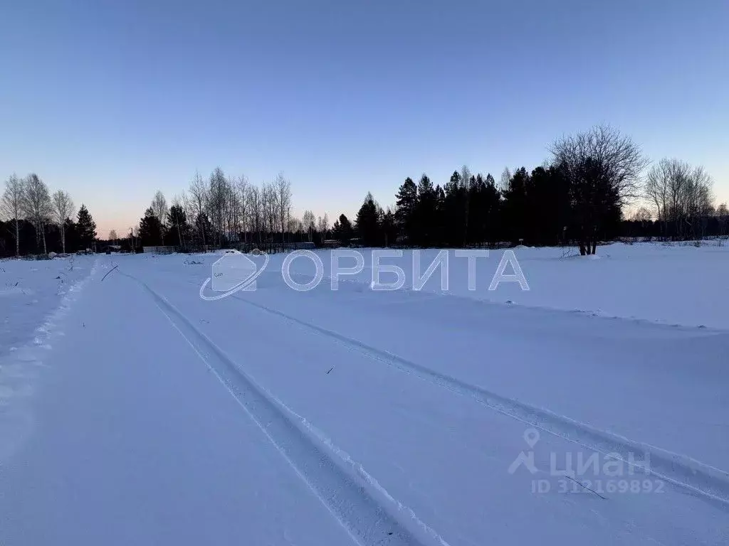 Участок в Тюменская область, Нижнетавдинский район, с. Тюнево  (10.0 ... - Фото 0