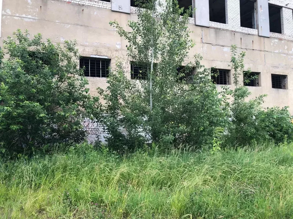 Помещение свободного назначения в Орловская область, Орел Московское ... - Фото 2