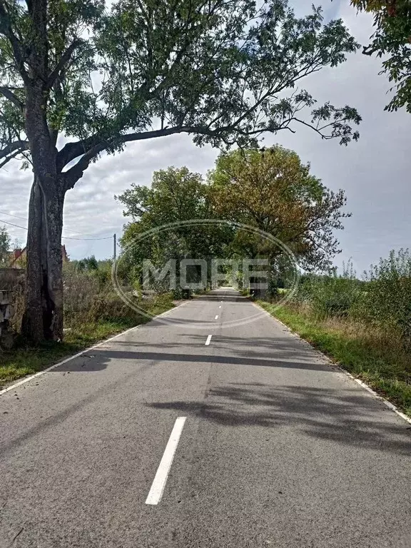 Участок 6 сот. (СНТ, ДНП) - Фото 0
