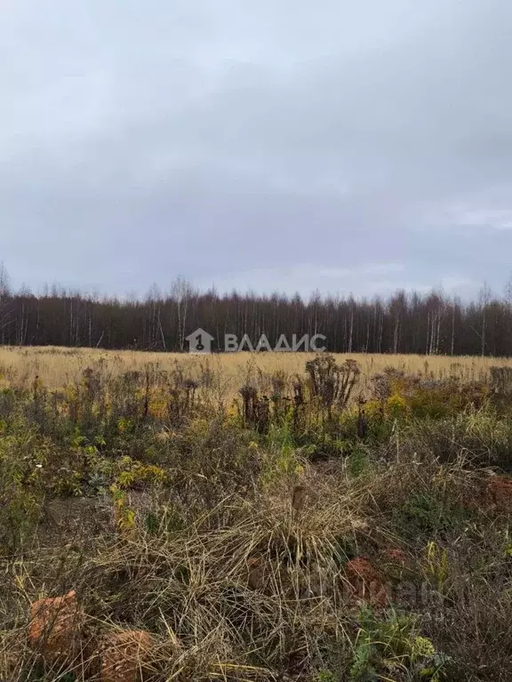 Участок в Нижегородская область, Нижний Новгород 2-я стройка СНТ,  ... - Фото 2