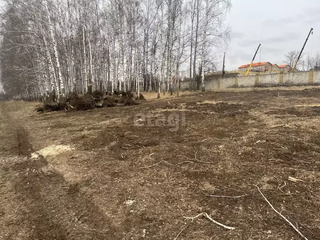 Участок в Курская область, Курский район, Нижнемедведицкий сельсовет, ... - Фото 0