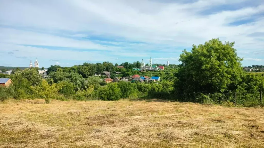 Дом в Калужская область, Козельск ул. Орджоникидзе, 11 (65 м) - Фото 1