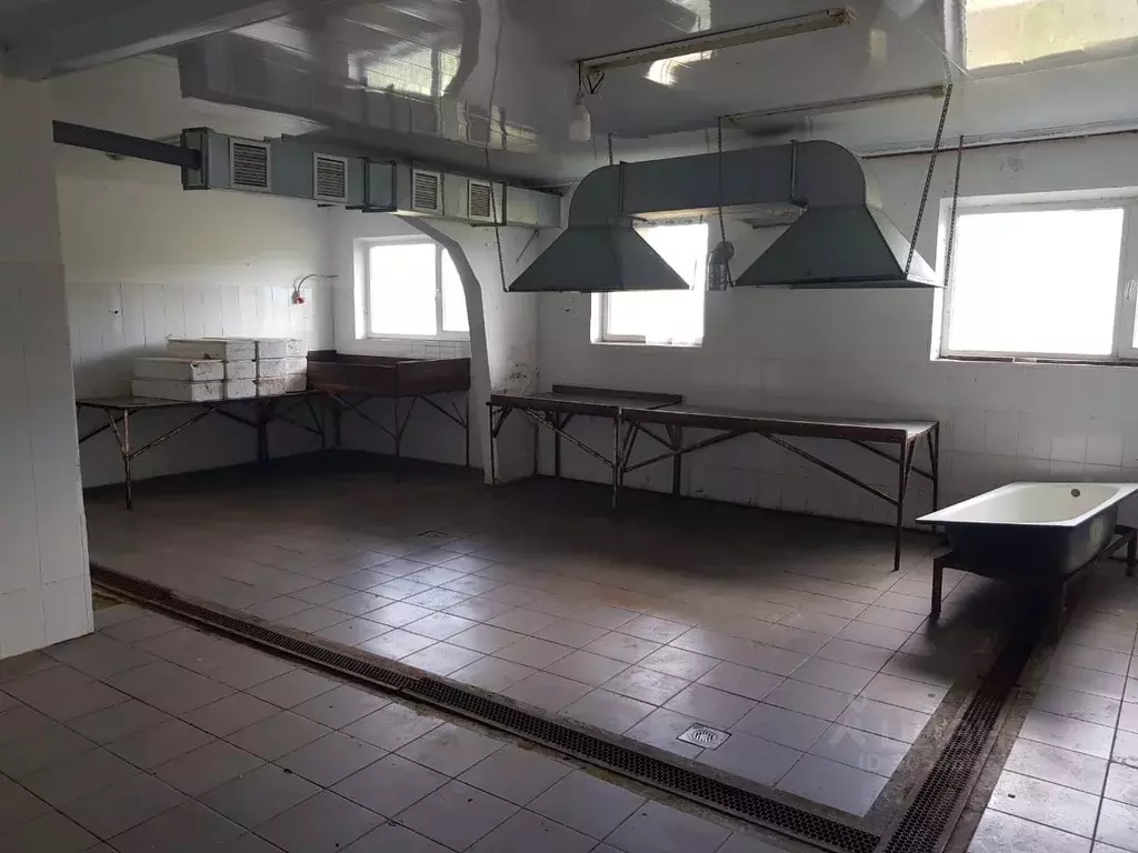 Помещение свободного назначения в Краснодарский край, Северский район, ... - Фото 0
