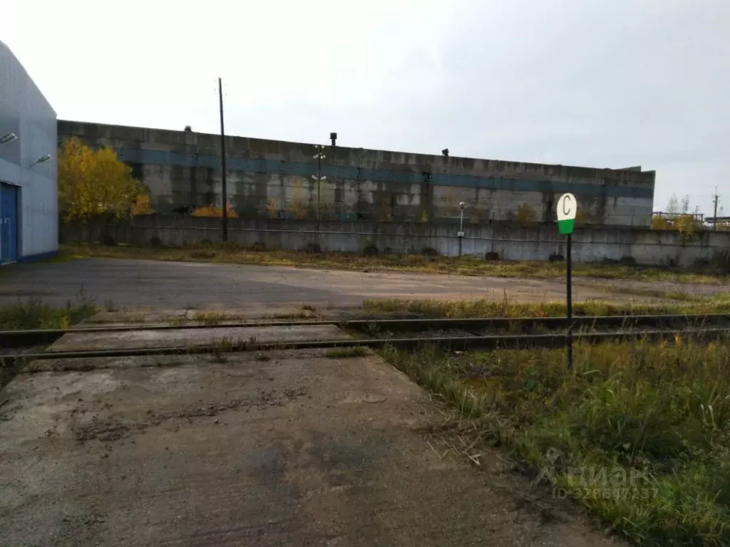 Склад в Ленинградская область, Кингисеппский район, Большелуцкое ... - Фото 2