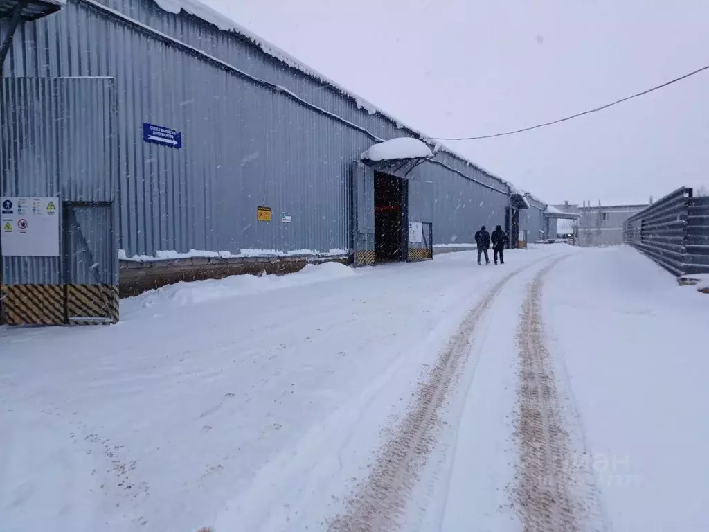 Склад в Пермский край, Пермский муниципальный округ, с. Фролы ул. ... - Фото 1