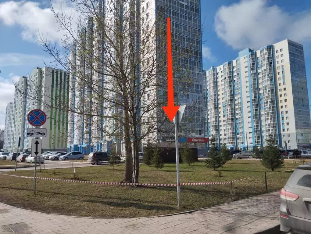 Торговая площадь в Новосибирская область, Новосибирск ул. Александра ... - Фото 0