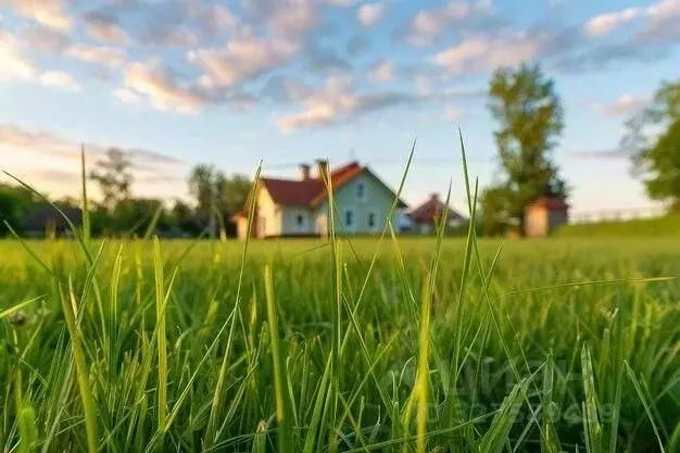 Участок в Нижегородская область, Княгининский муниципальный округ, с. ... - Фото 1