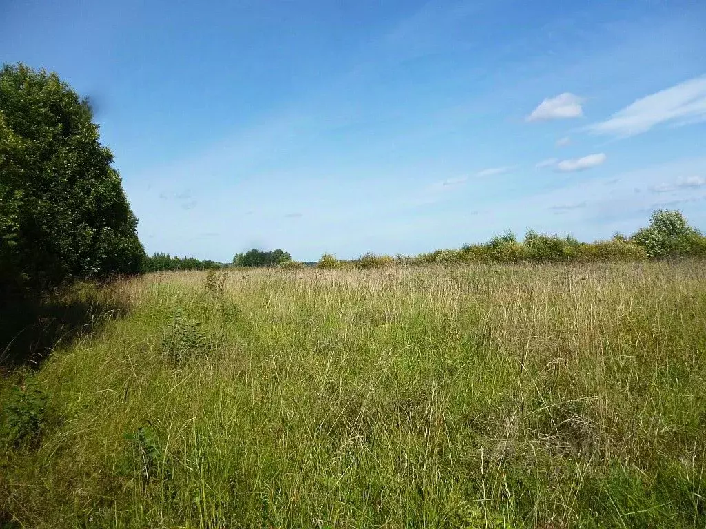 Участок в Ленинградская область, Кингисеппский район, д. Нежново  ... - Фото 1