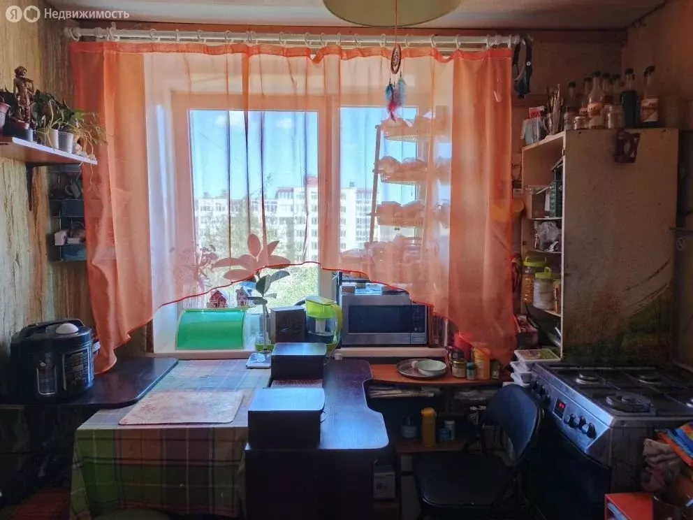 2-комнатная квартира: Пушкин, улица Генерала Хазова, 16 (42.8 м) - Фото 2