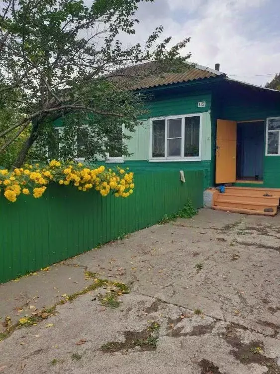 Дом в Хакасия, Майна рп ул. Ленина, 112 (50 м) - Фото 0