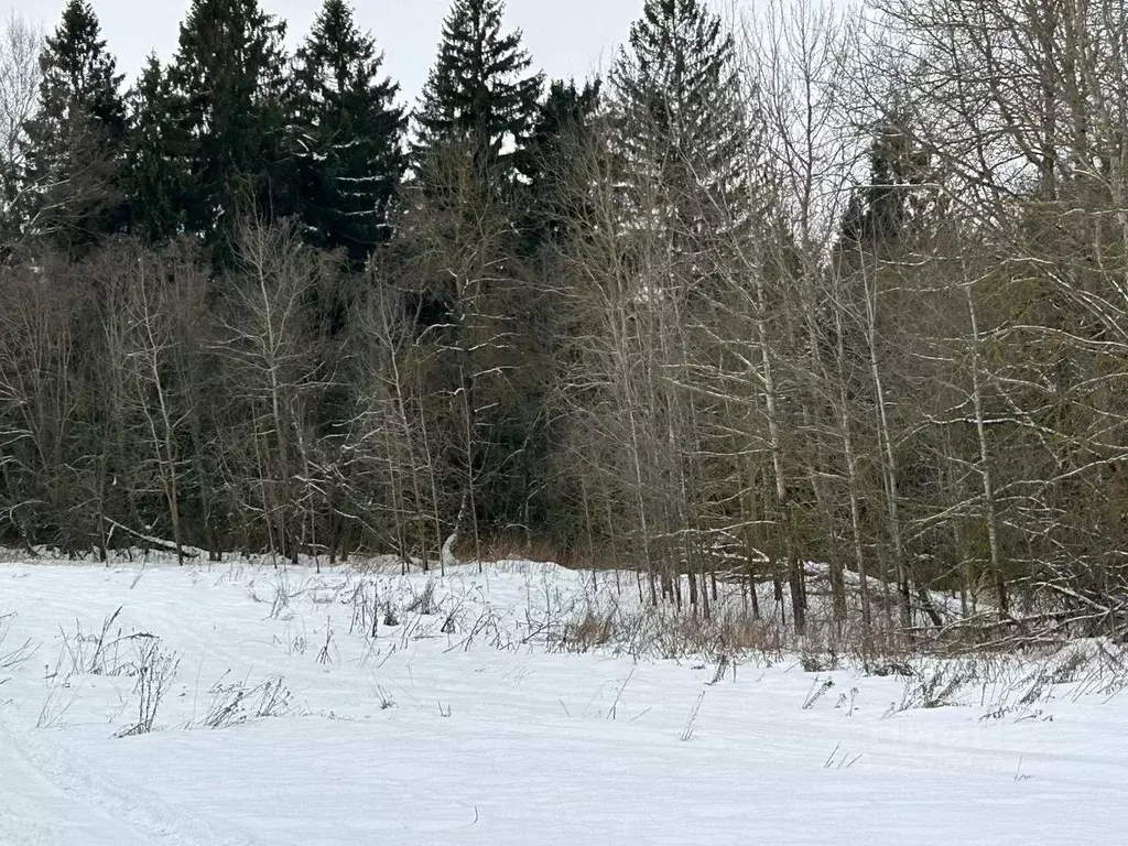 Участок в Московская область, Сергиево-Посадский городской округ, с. ... - Фото 0