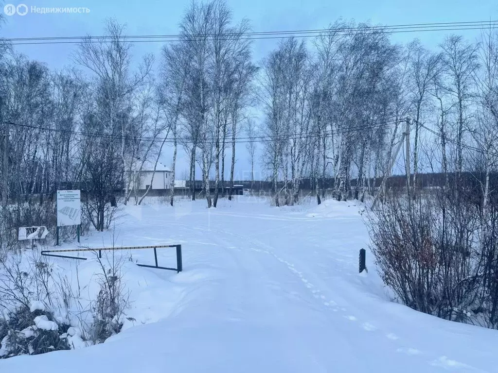 Участок в Тюмень, ДНТСН Зелёный Бор (10 м) - Фото 1