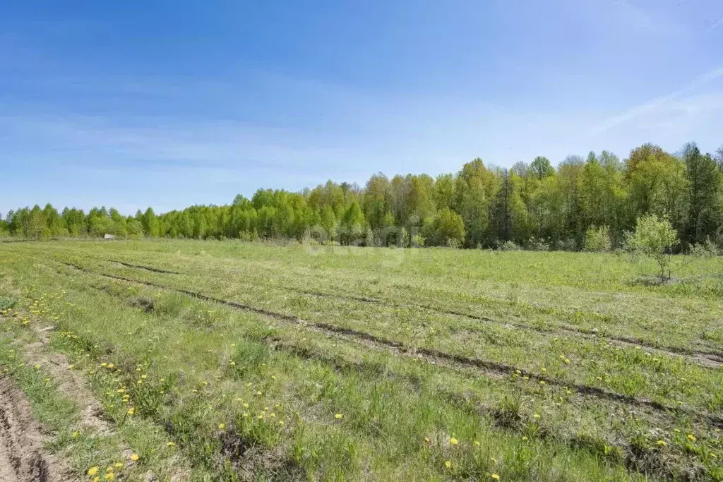 Участок в Пермский край, Пермский муниципальный округ, д. Одина  (15.0 ... - Фото 2