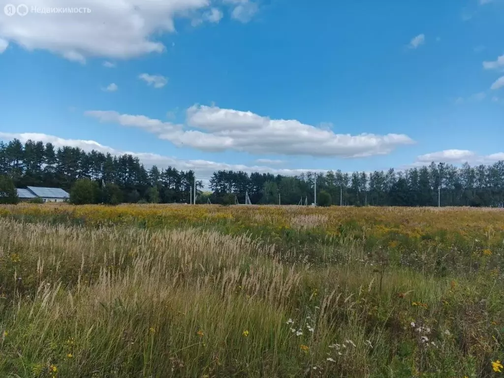 Участок в Московская область, городской округ Кашира, деревня ... - Фото 1