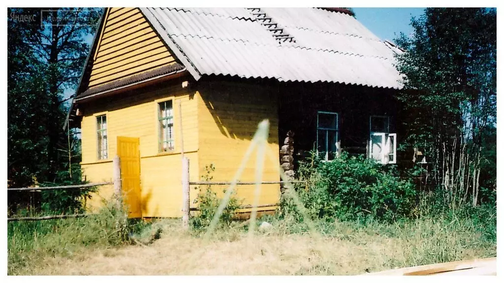 Дер 5. Деревня Дунаевщина Новгородской области. Арханское Демянский район. Деревня Подгорная Демянский район. Дунаевщина фото.