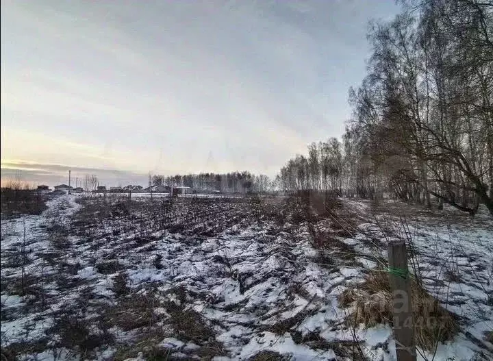 Участок в Калужская область, Бабынинский муниципальный округ, ... - Фото 2