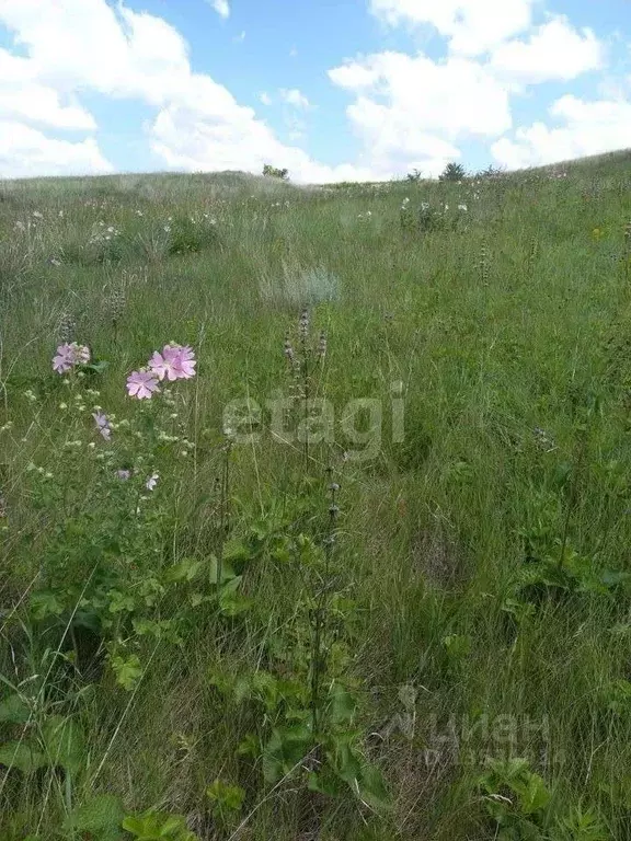 Участок в Алтайский край, Барнаул пл. Советов (10.0 сот.) - Фото 1