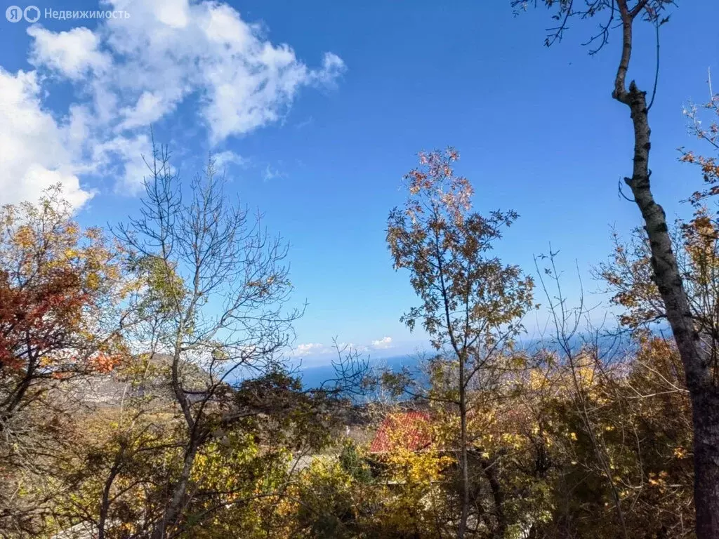 Участок в Малый Маяк, Зелёная улица, 21 (8 м) - Фото 2