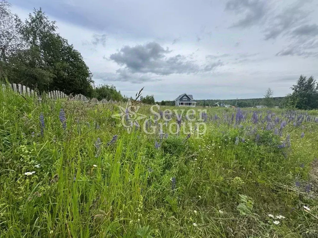 Участок, 20 сот., сельхоз (снт или днп) - Фото 1