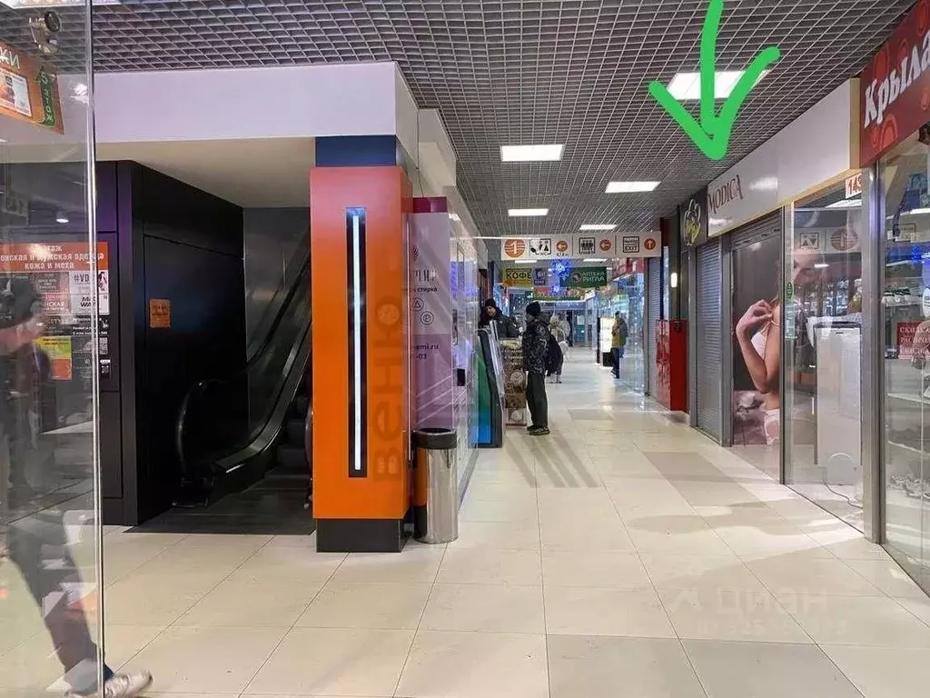 Торговая площадь в Воронежская область, Воронеж ул. Фридриха Энгельса, ... - Фото 2