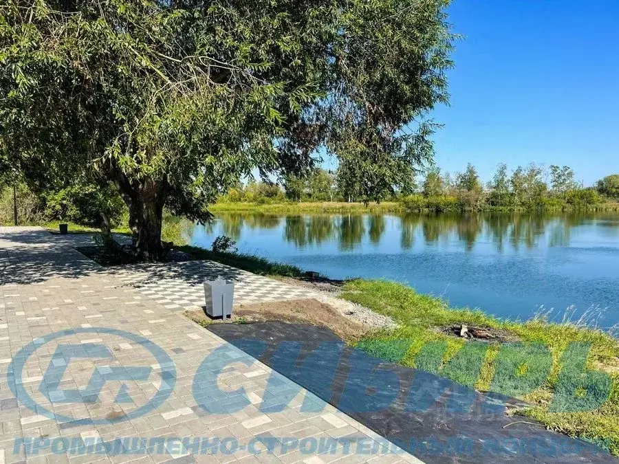 1-к кв. Новосибирская область, Новосибирск ул. Забалуева, 96 (44.0 м) - Фото 1