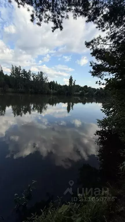 Участок в Удмуртия, Завьяловский район, д. Каменное, Зеленодолье кп ... - Фото 1