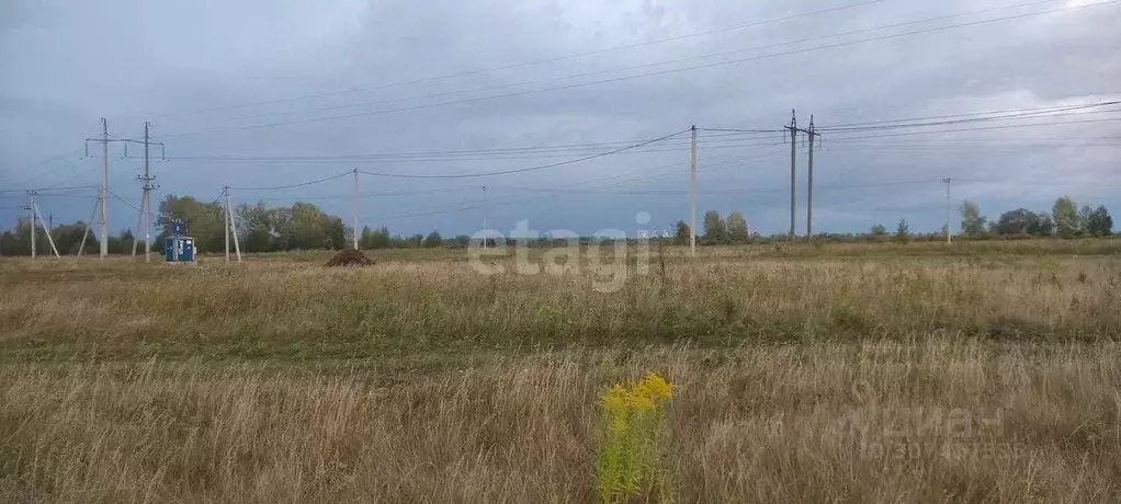 Участок в Башкортостан, Стерлитамакский район, д. Казадаевка ул. ... - Фото 0