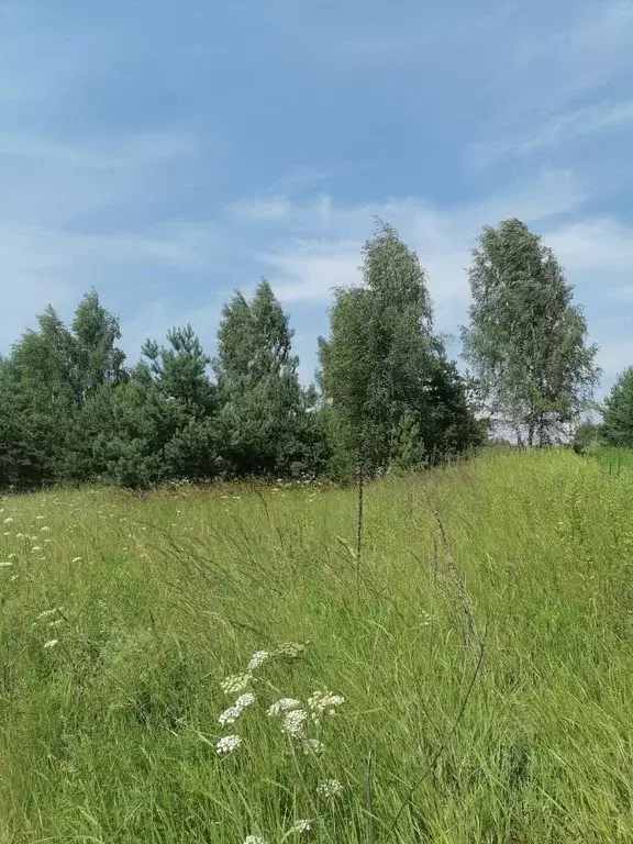 Участок в Тверская область, Конаковский муниципальный округ, д. Елдино ... - Фото 1